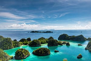 Save Raja Ampat: Keindahan Surgawi dan Peran Penting Pemeliharaan Website